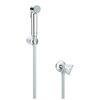 Гигиенический набор grohe tempesta-f 27514001 trigger spray 30 в Астане фото № 1