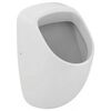 Писсуар ideal standard connect e567101/k710667/k822367 в Астане фото № 1