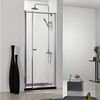 Душевая дверь bravat 100x200 drop bd100.4110a в Алматы фото № 1
