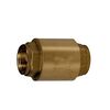 Дисковый обратный клапан 1" giacomini r60y035, нехром в Алматы фото № 1