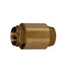 Дисковый обратный клапан 2 1/2" giacomini r60y039, нехром в Алматы фото № 1