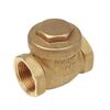 Обратный мембранный клапан 3/4" giacominin5y004 с неопреновым седлом, нехром в Алматы фото № 1