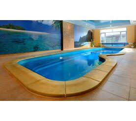 Бассейн franmer нарбонн в Алматы фото № 1