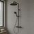 Душевая система hansgrohe raindance alive s puro 300 1jet 24592340, с термостатом ecostat element, черный матовый хром в Алматы фото № 2