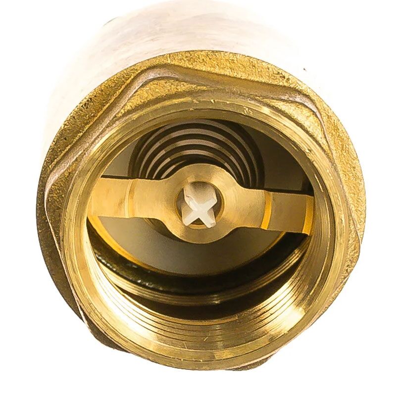 Дисковый обратный клапан 1" giacomini r60y005 в Алматы фото № 1