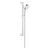 Душевой гарнитур grohe tempesta new cosmopolitan 100 27786002 3 вида струи в Шымкенте фото № 1